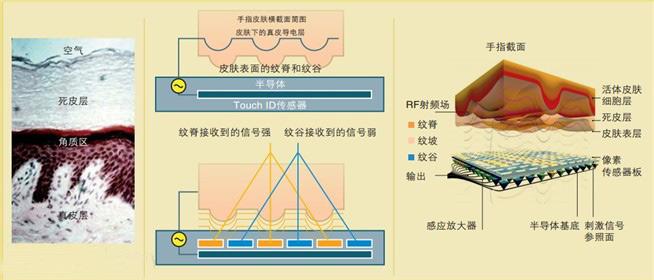 全都是高精尖 15年火了的手机技术详解 