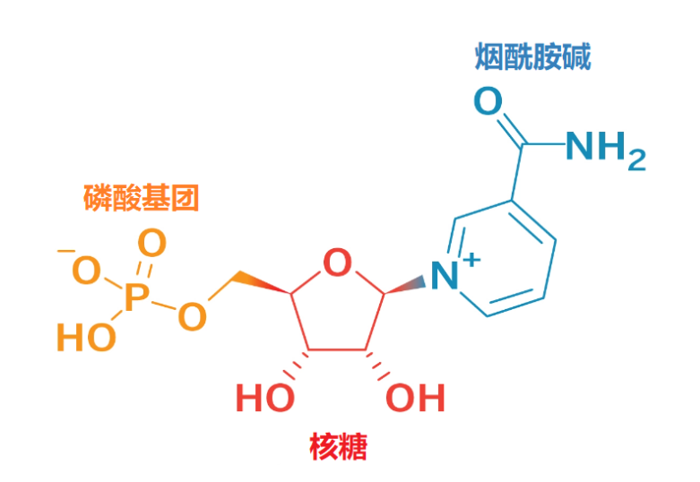 如图片无法显示，请刷新页面